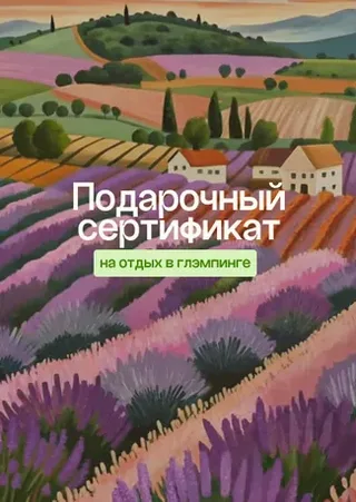 Лавандовые поля