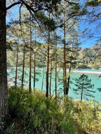 Altreia — фото