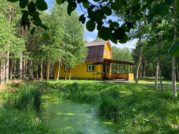 Стандарт — фото 1