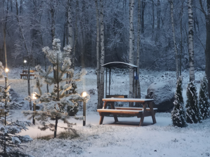 Ленинградская область