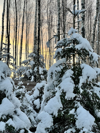 Московская область