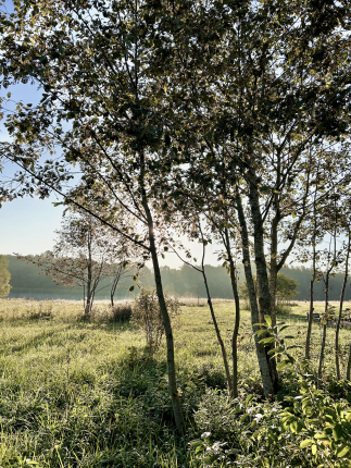 Московская область