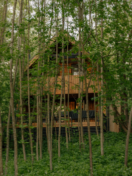 Barn Max безликий — фото 1