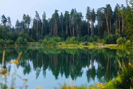Ягодка-Малинка — фото