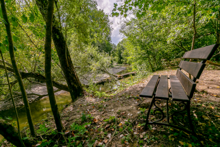 Краснодарский край