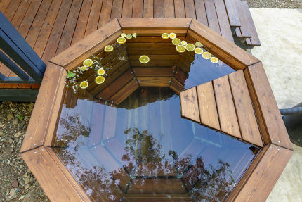 Шелест  — фото