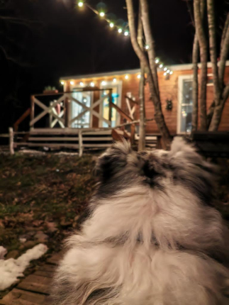 Краснодарский край