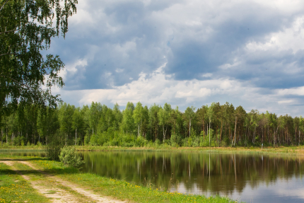 Владимирская область