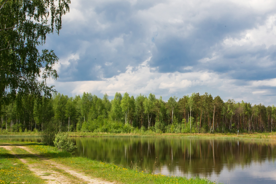 Деревенский дом