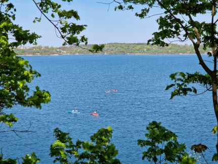 Калининградская область