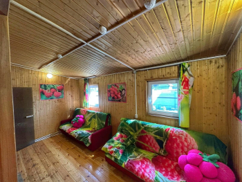2668