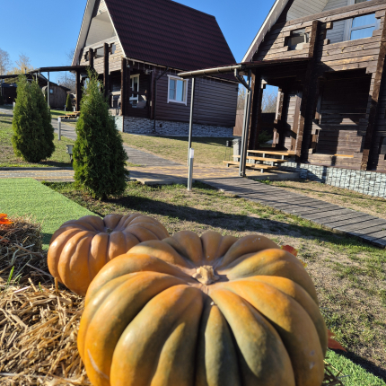 Усадьба Дон — фото