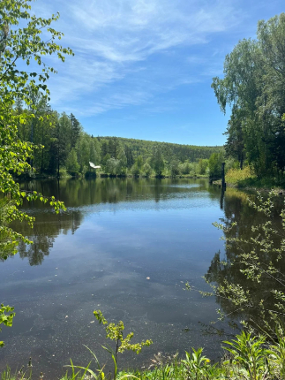 Челябинская область