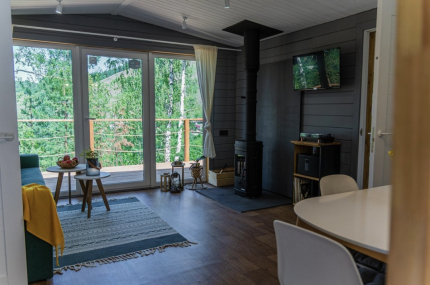 Челябинская область