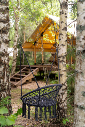 Новгородская область