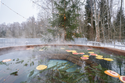 Московская область