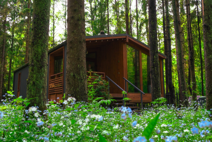 Ленинградская область Ленинградская область