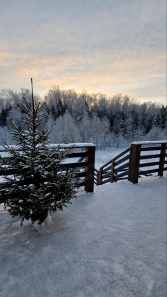 Московская область