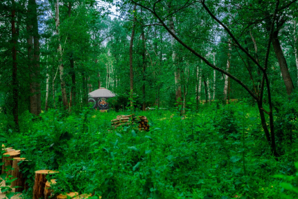 Воронежская область