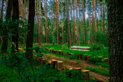 Воронежская область