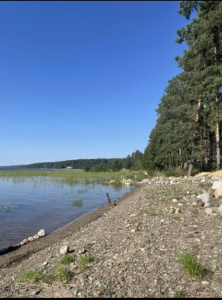 Ленинградская область