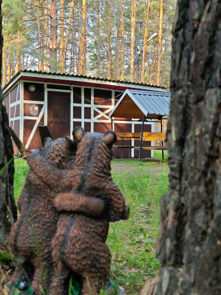 Челябинская область