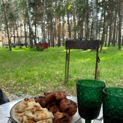 Челябинская область