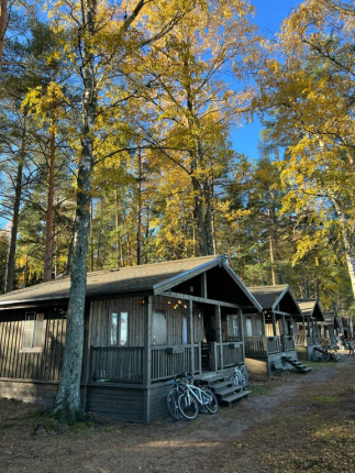 Ленинградская область