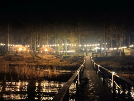 Ленинградская область