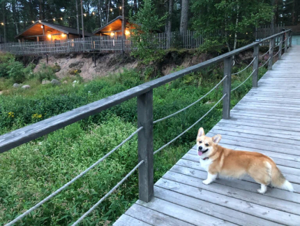 Ленинградская область