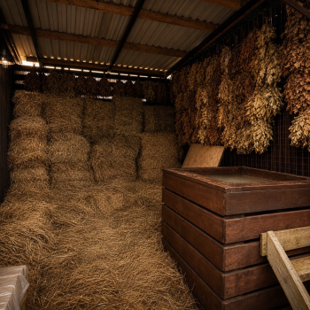 BarnHouse №6 — фото 15