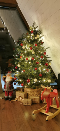 Московская область