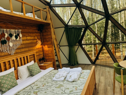 Ярославская область