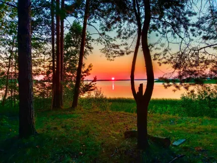 Тверская область