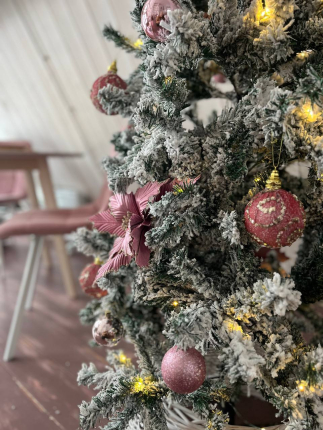 Московская область