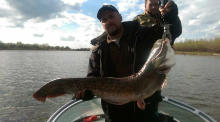 Звезда на Ахтубе — фото