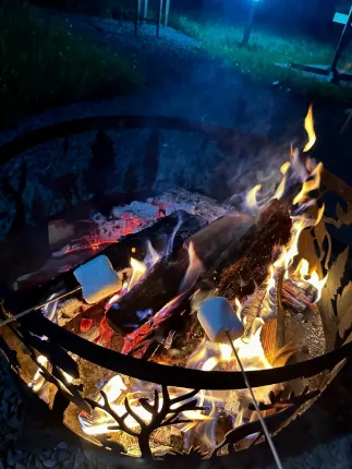 Воронежская область