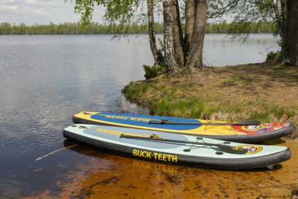 Рязанская область