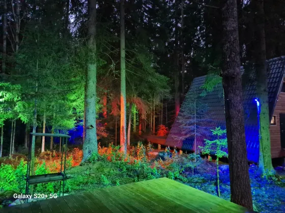 Забронировать Ленинградская область