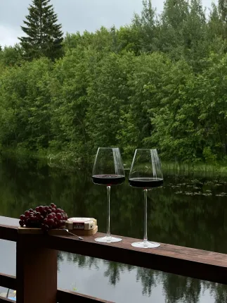 Ленинградская область