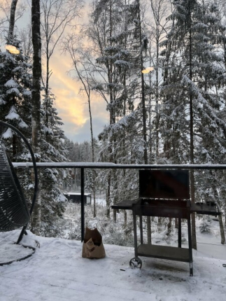 Ленинградская область