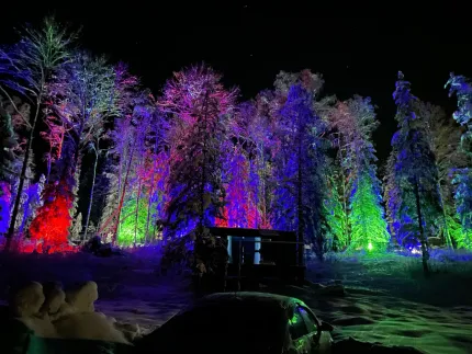 Ленинградская область