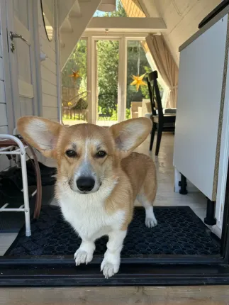 Ленинградская область