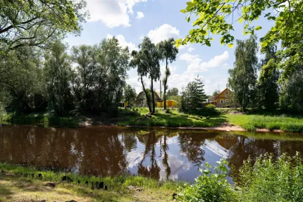 Новгородская область