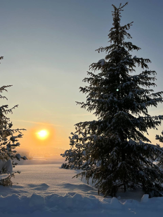 Калужская область