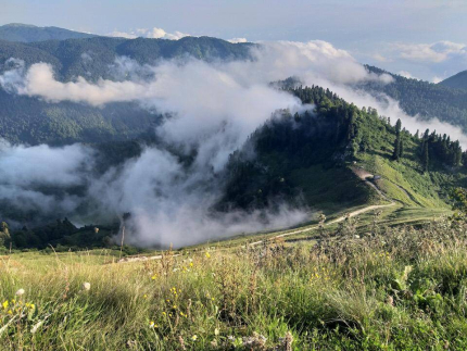 Бунгало — фото