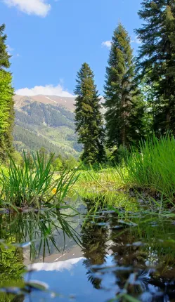 Сияние Family Club — фото