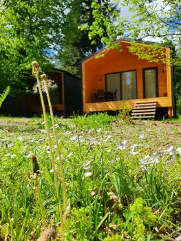 Дом — фото 1