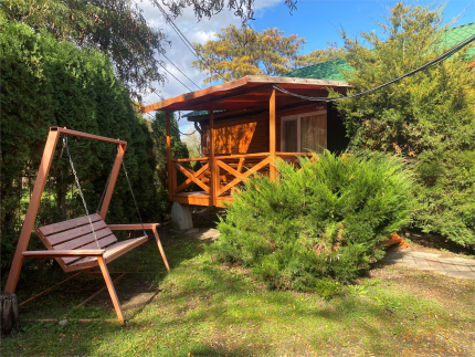 Светлячок — фото