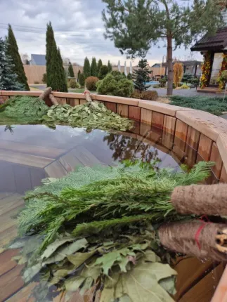 Воронежская область